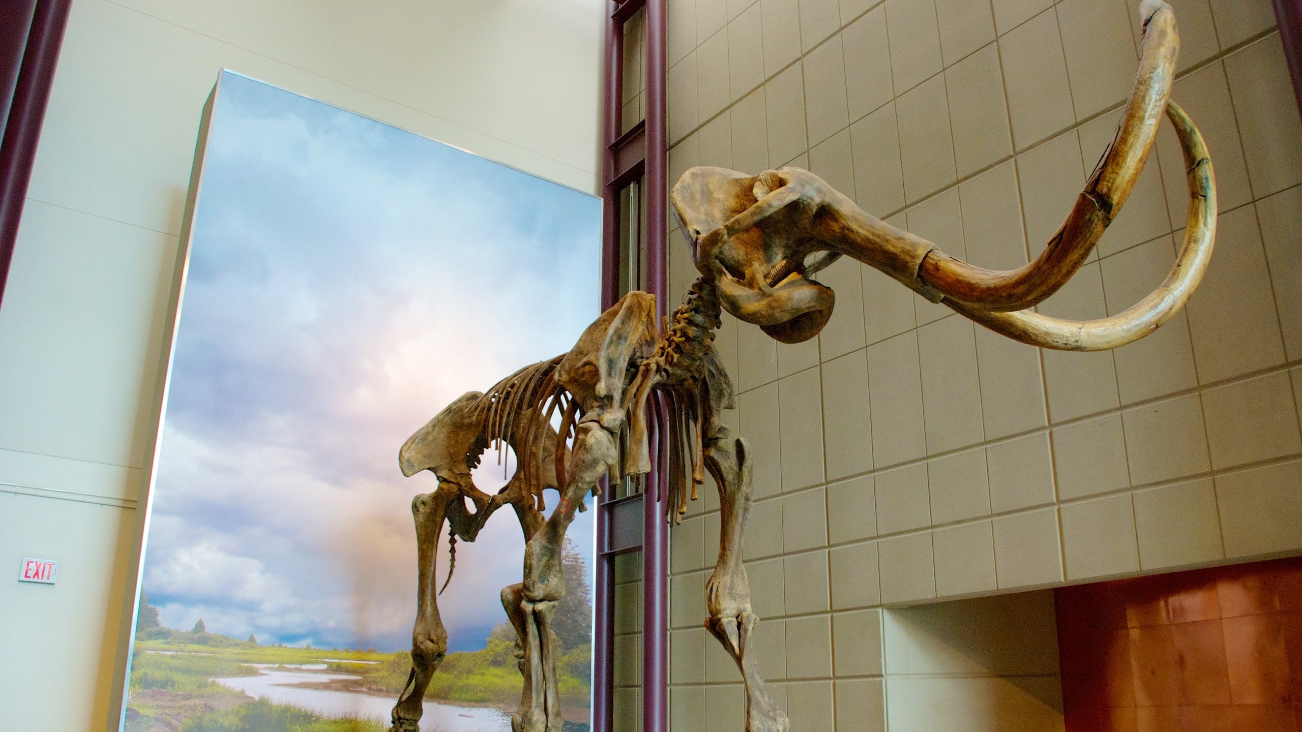 Milwaukee Public Museum