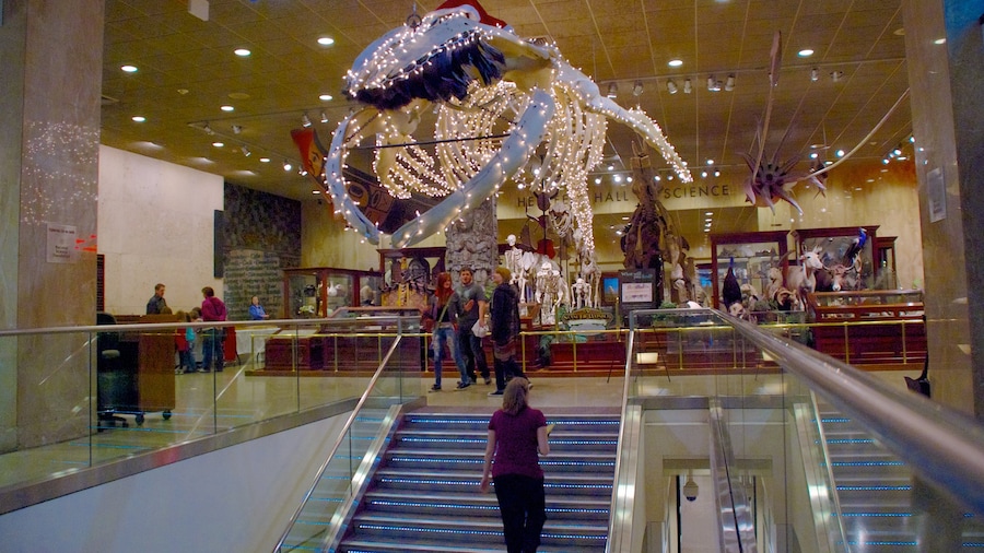 Milwaukee Public Museum which includes interior views