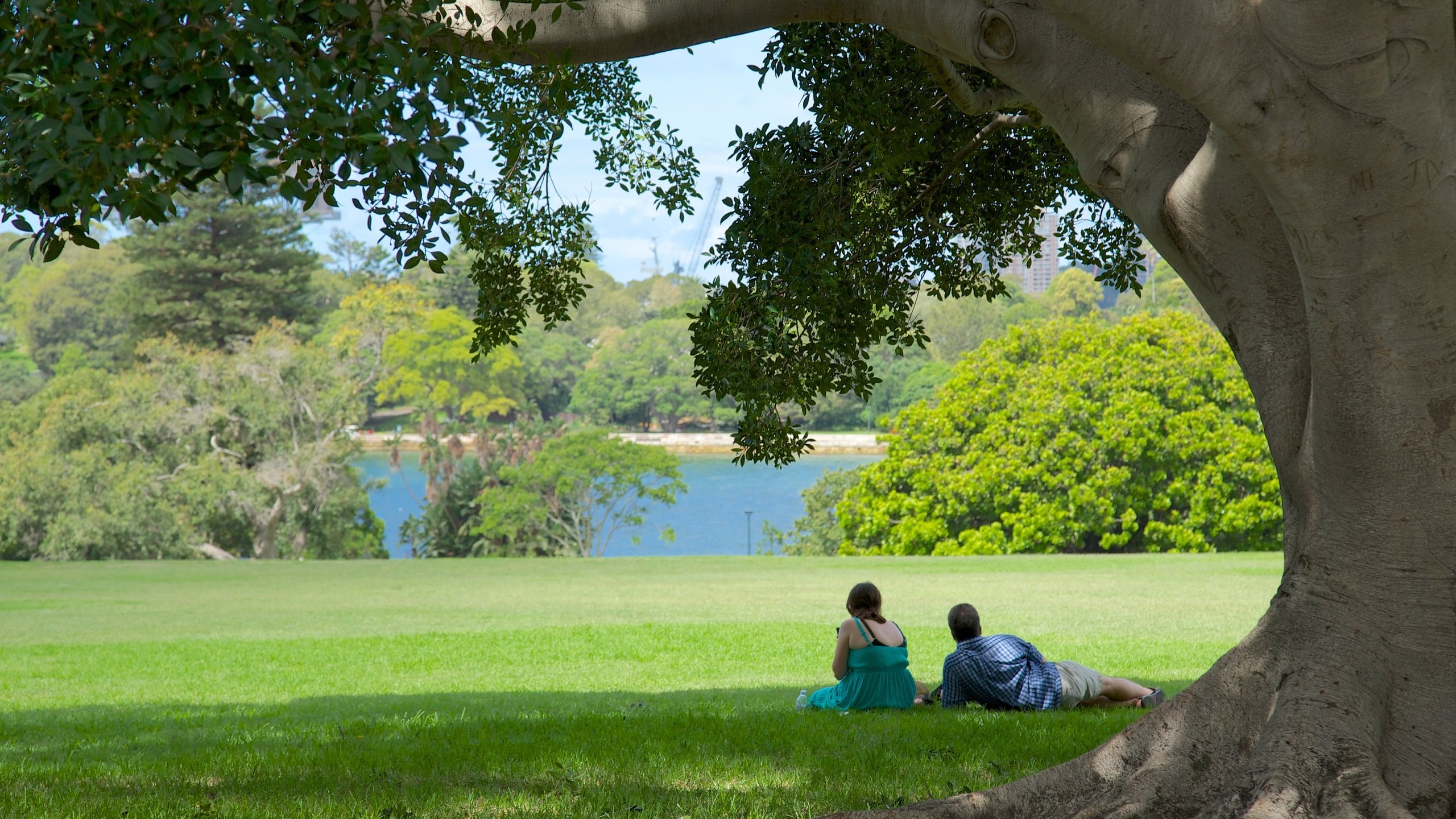 Royal Botanic Gardens which includes picnicing, landscape views and a park