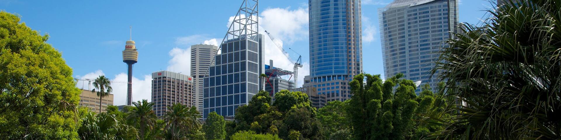 Royal Botanic Gardens which includes a city, modern architecture and a garden