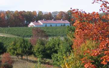 Visit Traverse City: 2022 Travel Guide for Traverse City ...