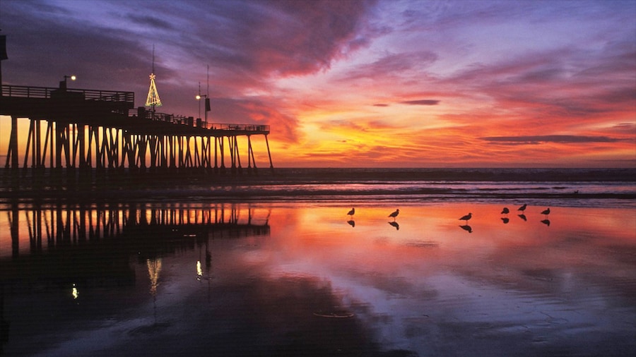 Pismo Beach showing tropical scenes, views and general coastal views