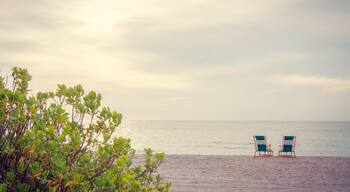 Fort Myers featuring a sandy beach