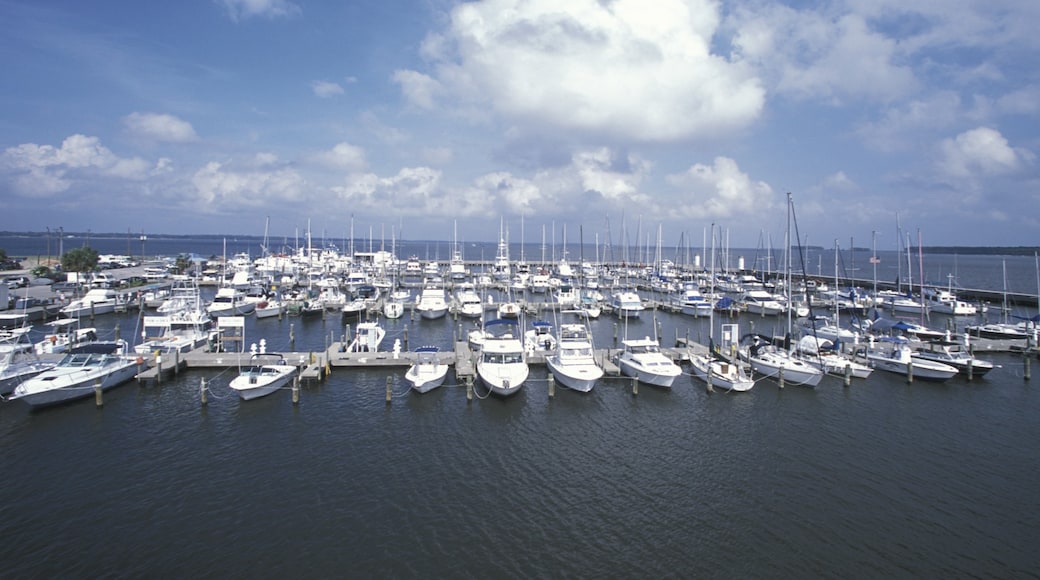 Photo provided by Mississippi Gulf Coast Convention & Visitors Bureau