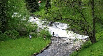 Duluth toont vredige uitzichten, een tuin en hiken of wandelen