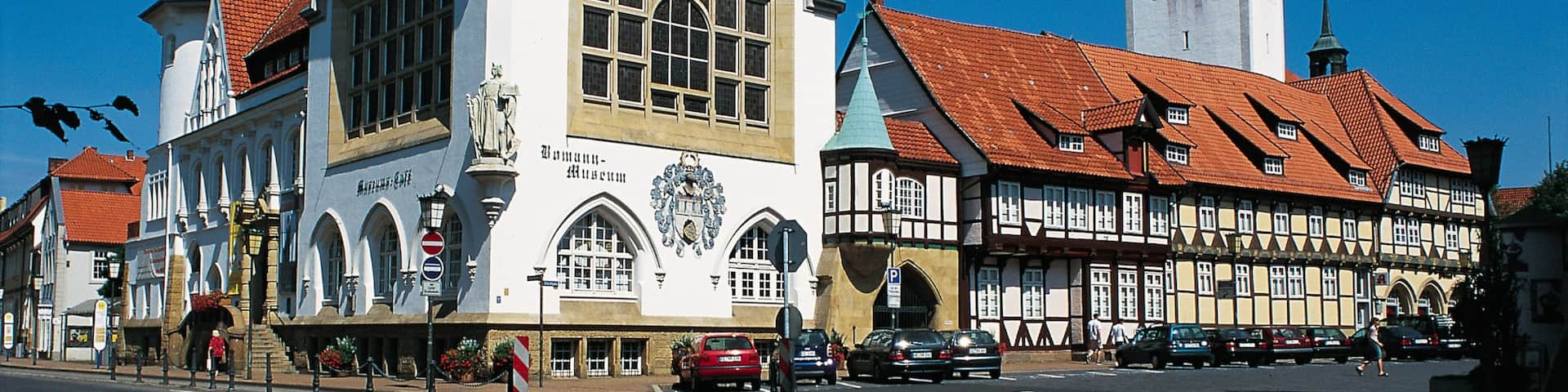 Celle featuring a city, heritage architecture and street scenes