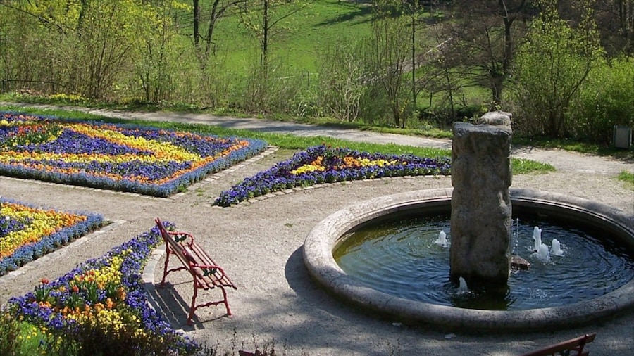Hof som viser et springvand og en have