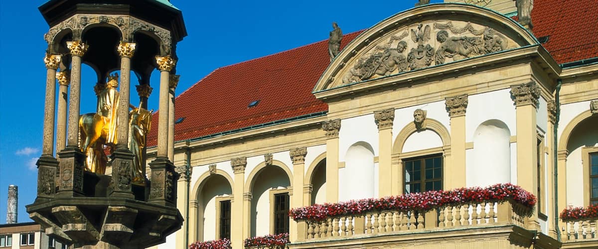 Magdeburgo mostrando castillo o palacio, una ciudad y patrimonio de arquitectura