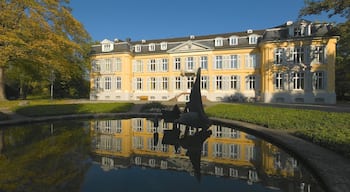 Leverkusen featuring heritage architecture and a pond