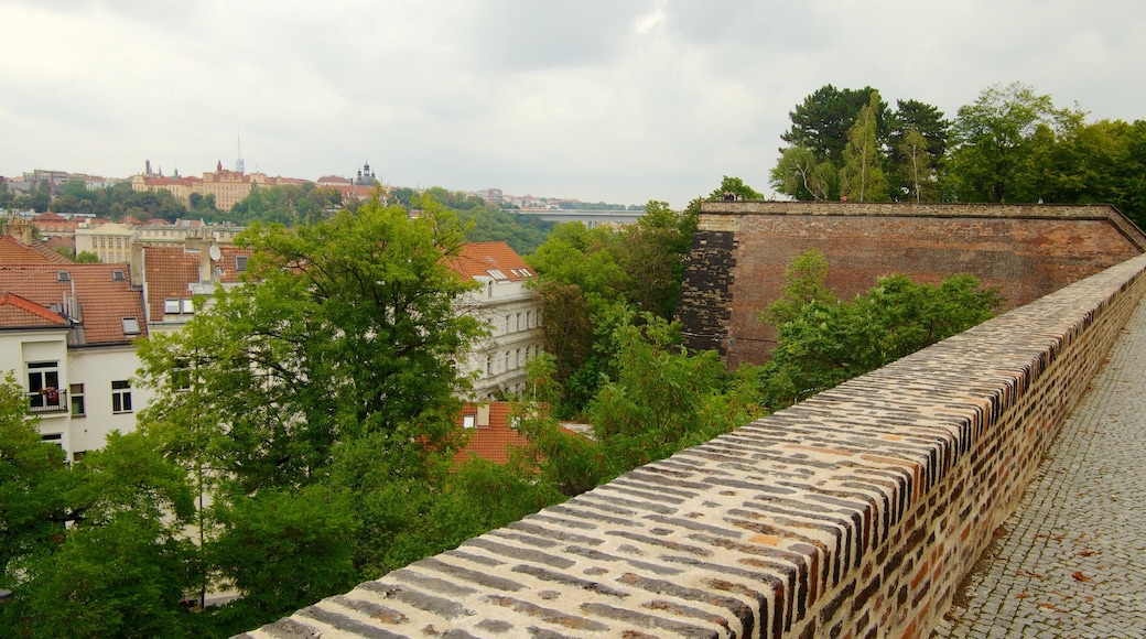 Castello di Vyšehrad mostrando piccola città o villaggio, architettura d\'epoca e castello o palazzo