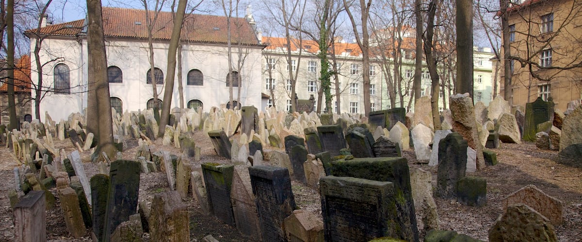 Old Jewish Cemetery showing a cemetery and a memorial