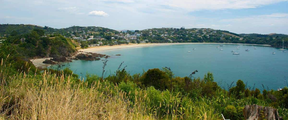 Waiheke Island featuring general coastal views, skyline and landscape views