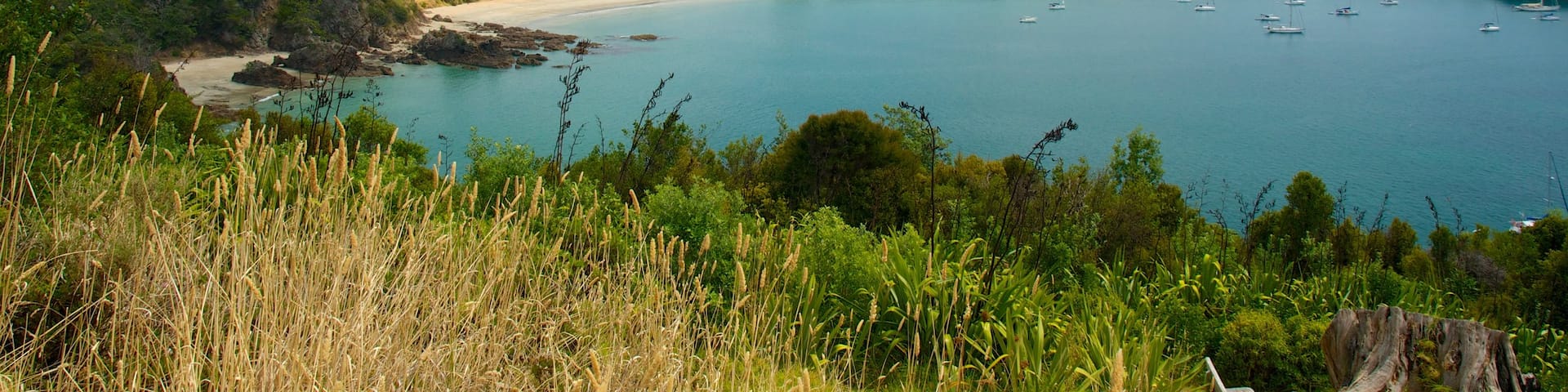 Waiheke Island mit einem Landschaften, Skyline und allgemeine Küstenansicht