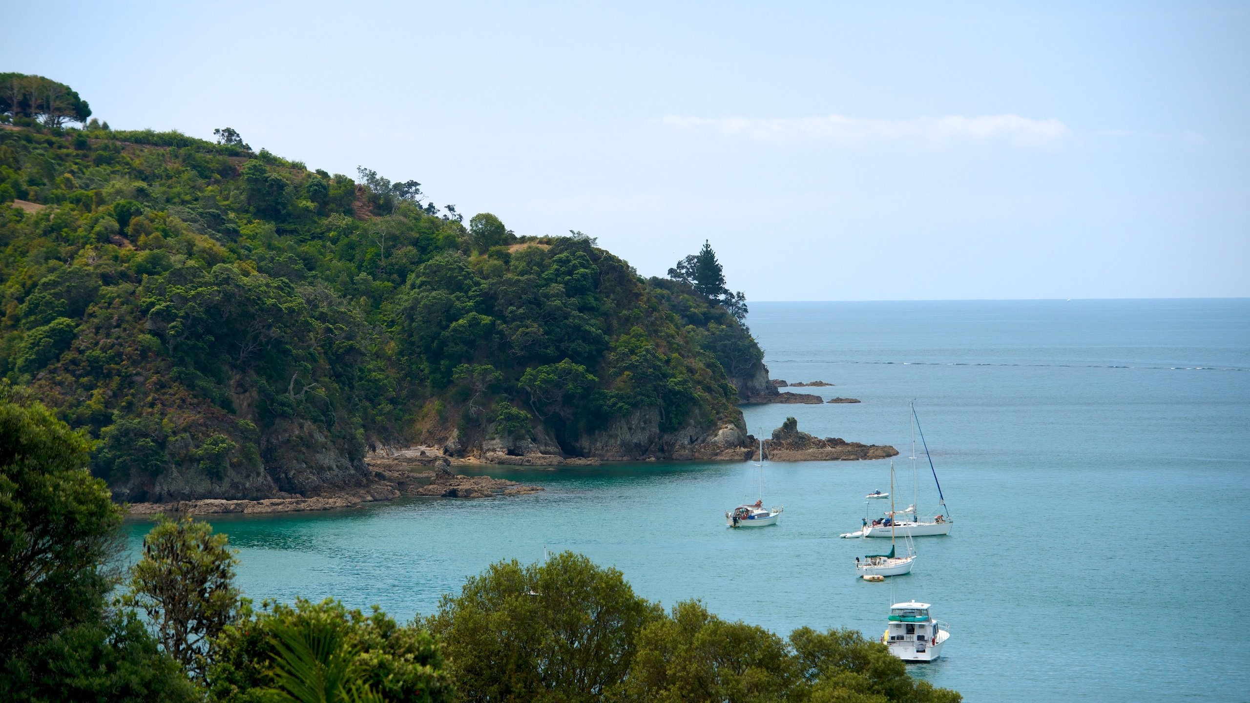 Top 20 Waiheke Island, NZ vacation rentals with hot tub Vrbo