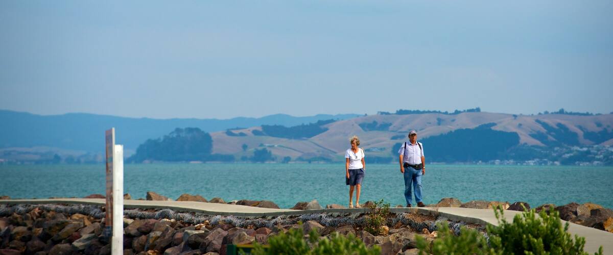 Waiheke Island which includes general coastal views, landscape views and hiking or walking