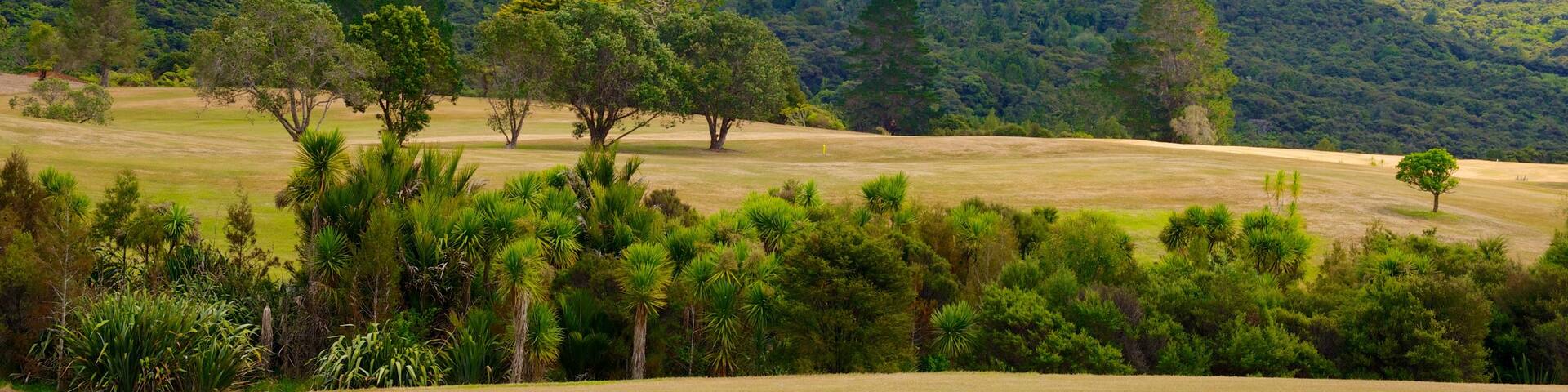 Waitakere Ranges which includes forests and landscape views