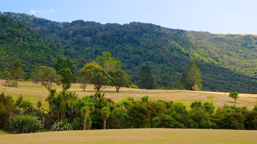 Waitakere Ranges og byder på udsigt over landskaber og skovområder