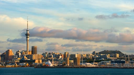 Sky Tower presenterar en stad, ett höghus och skyline