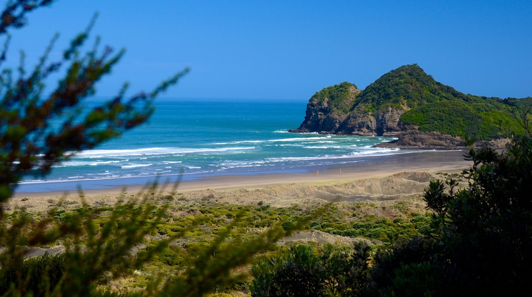 Bethells Beach featuring general coastal views and landscape views