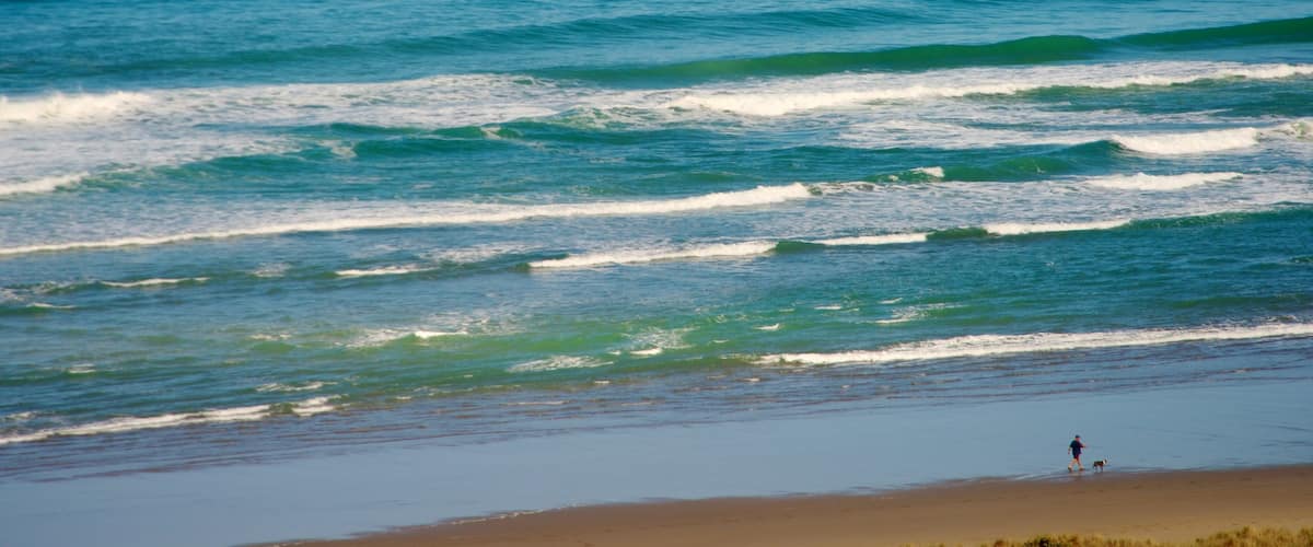 Bethells Beach featuring tropical scenes, landscape views and a beach