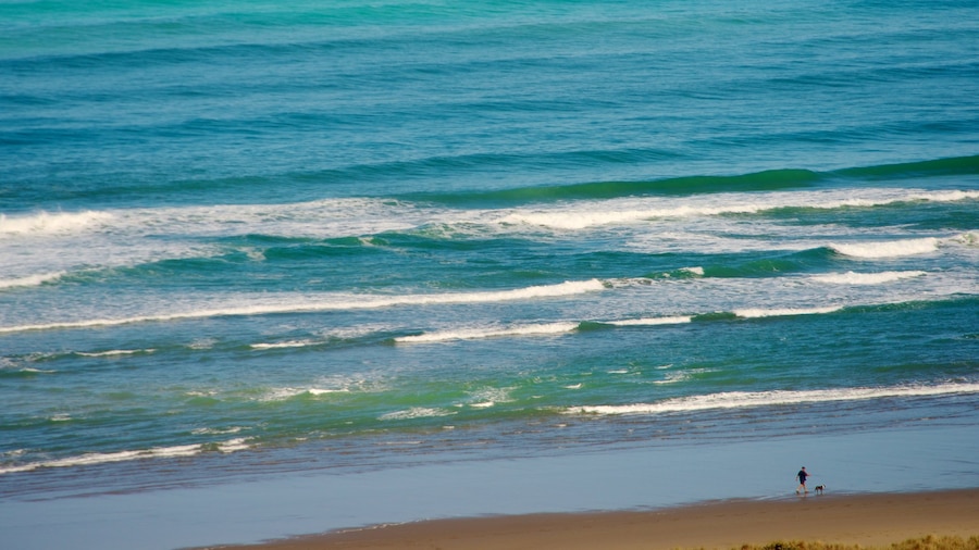 Bethells Beach featuring a beach, landscape views and tropical scenes