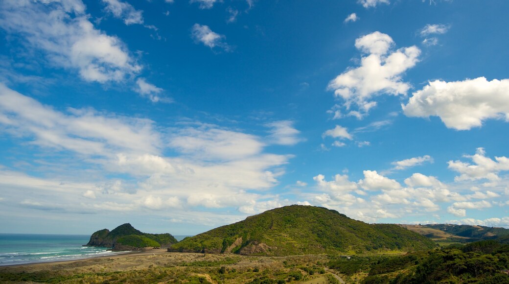 Bethells Beach welches beinhaltet Landschaften, ruhige Szenerie und allgemeine Küstenansicht