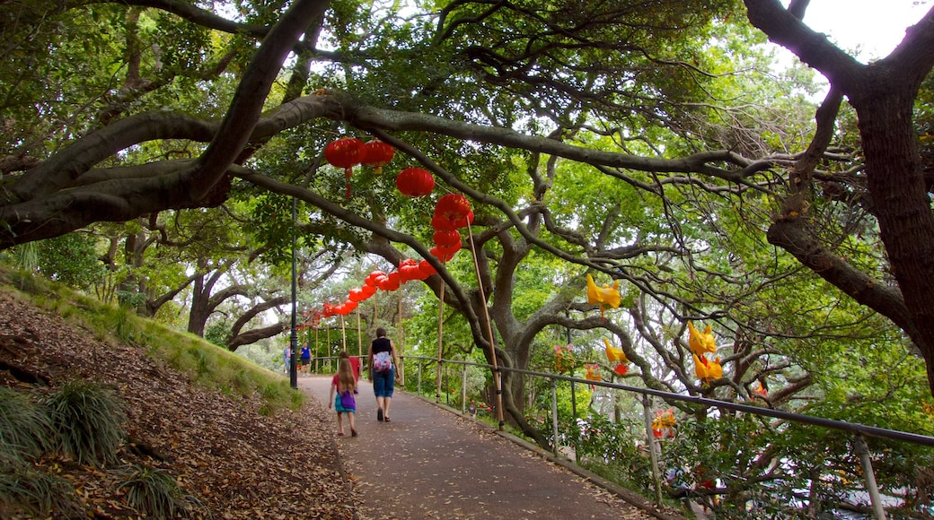 Albert Park featuring a garden, hiking or walking and forests