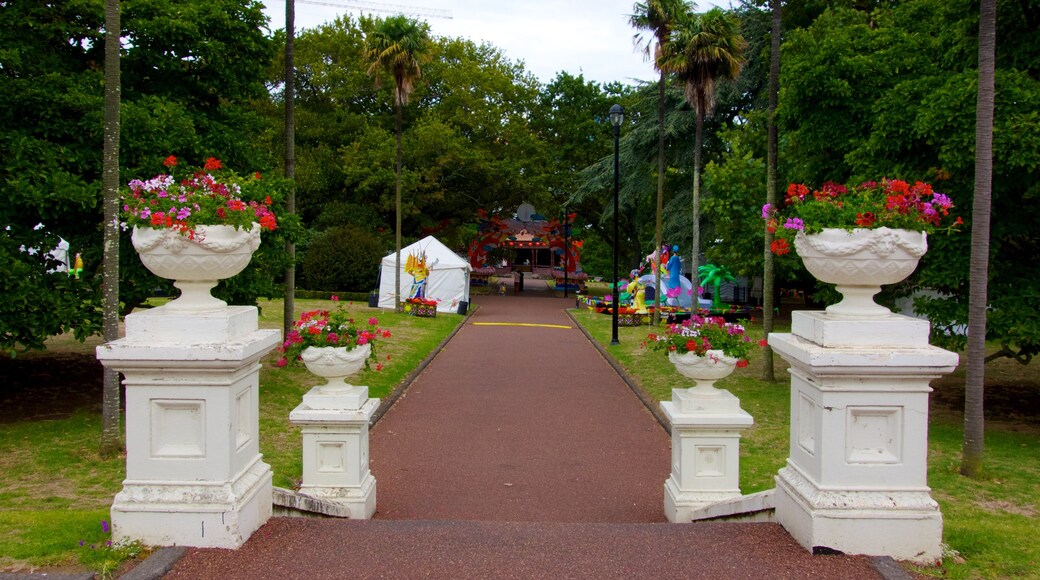 Albert Park mostrando um parque