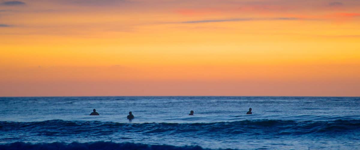 Piha Beach which includes skyline, a beach and landscape views