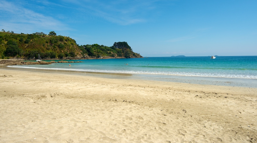 Palm Beach showing landscape views, tropical scenes and a sandy beach