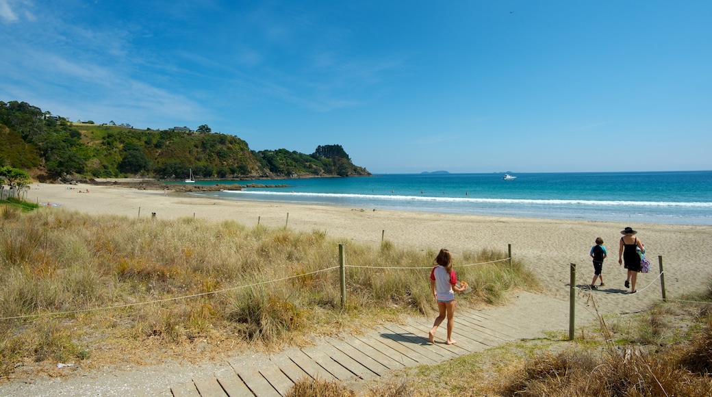 Palm Beach welches beinhaltet Landschaften und Strand sowie Kinder