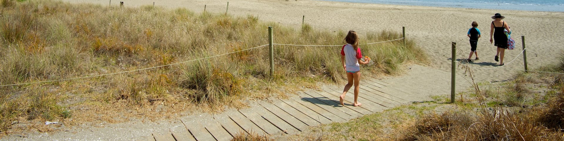 Palm Beach featuring a beach and landscape views as well as children
