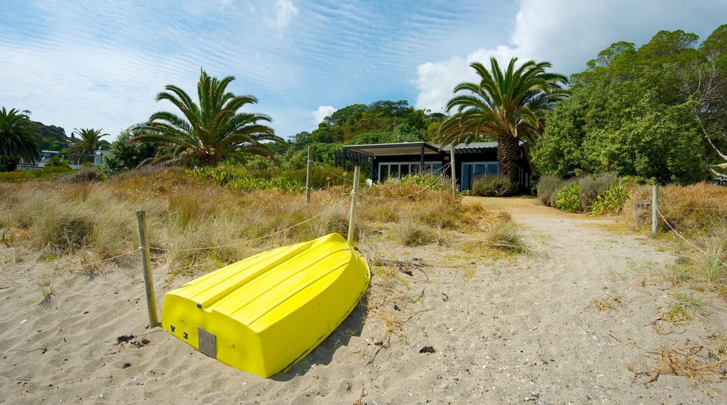 Palm Beach which includes tropical scenes and a beach