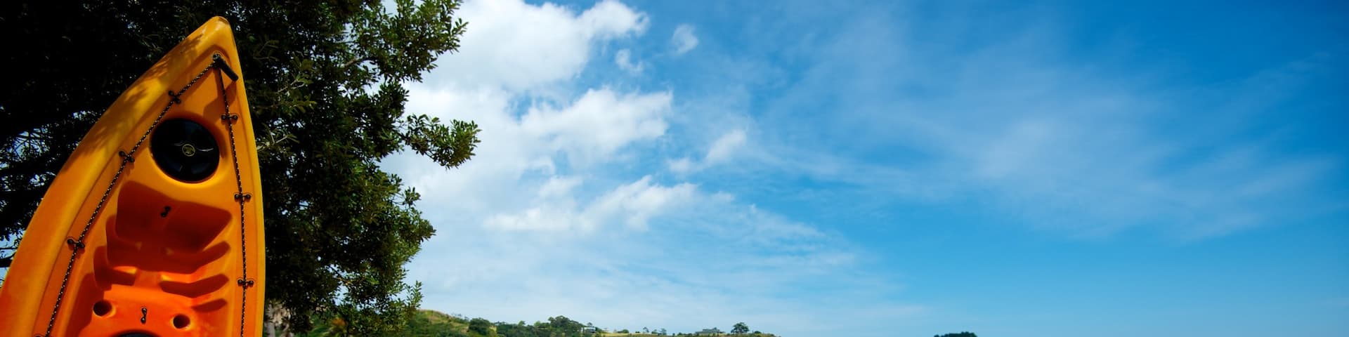 Palm Beach featuring kayaking or canoeing, tropical scenes and a sandy beach