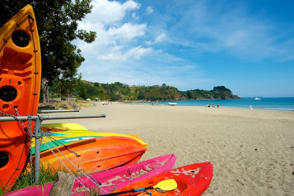 Palm Beach featuring kayaking or canoeing, tropical scenes and a sandy beach