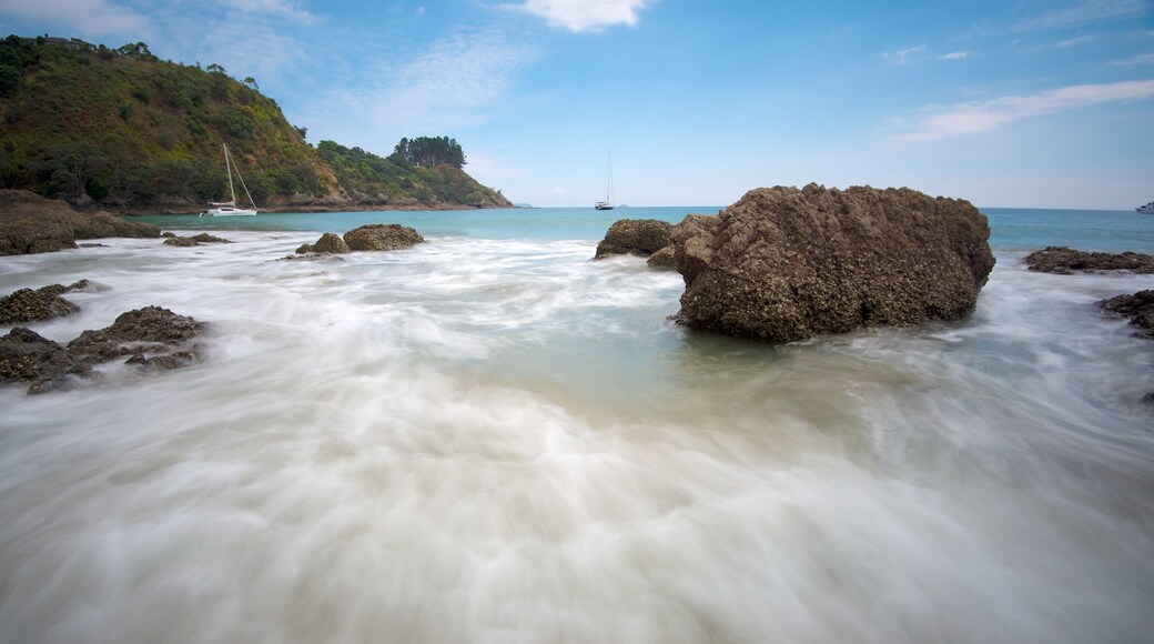 Palm Beach showing landscape views and rugged coastline