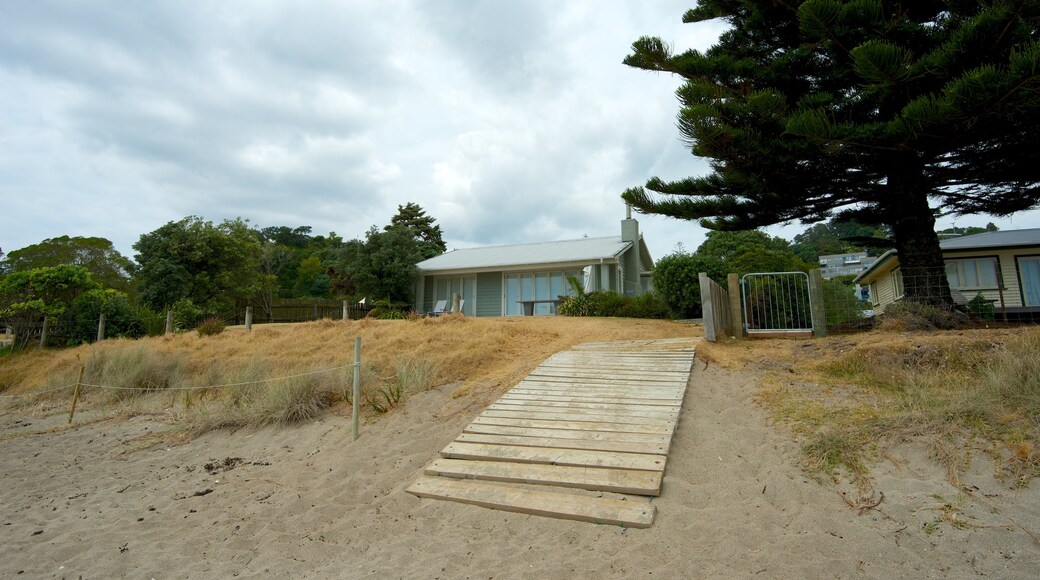 Palm Beach showing a sandy beach