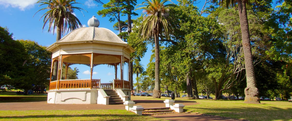 Auckland Domain showing a garden