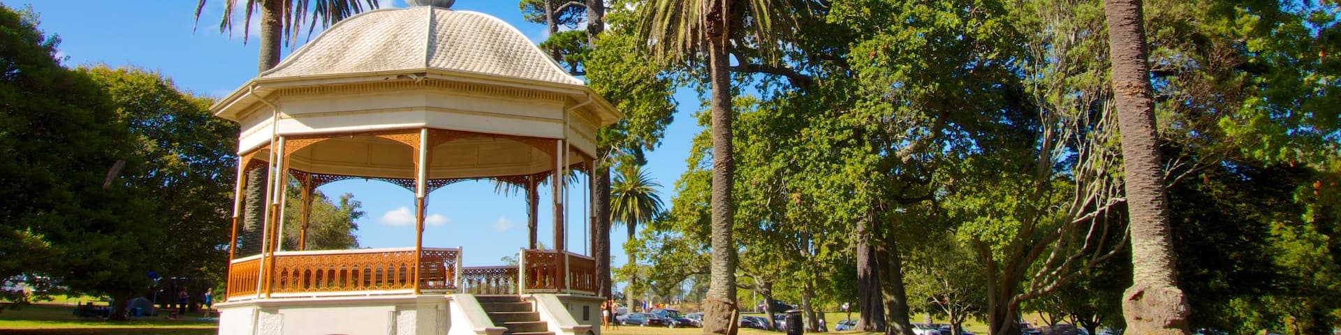 Auckland Domain showing a garden