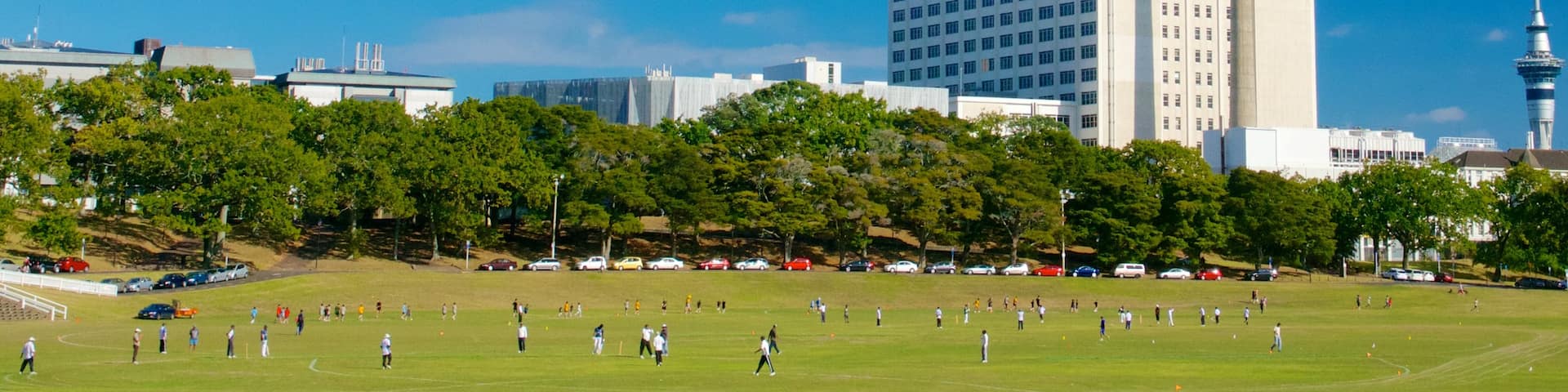 Auckland Domain showing a city, a garden and skyline