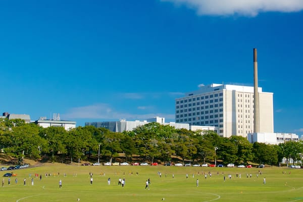 Auckland Domain which includes a city, a garden and skyline