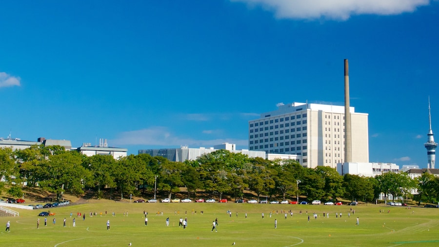 Auckland Domain montrant ville, silhouettes urbaines et jardin
