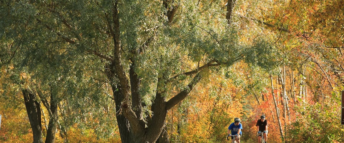 Edmonton caracterizando um parque, florestas e ciclismo