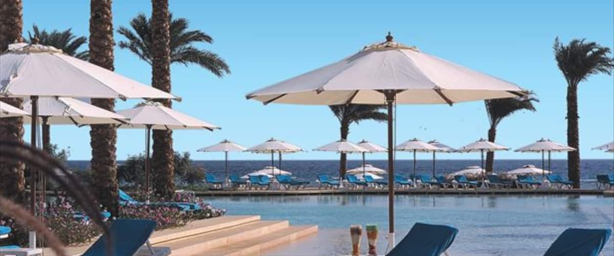 Cairo showing tropical scenes