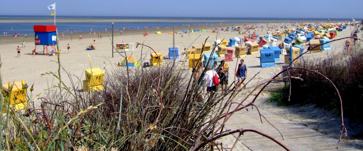 Langeoog which includes a sandy beach