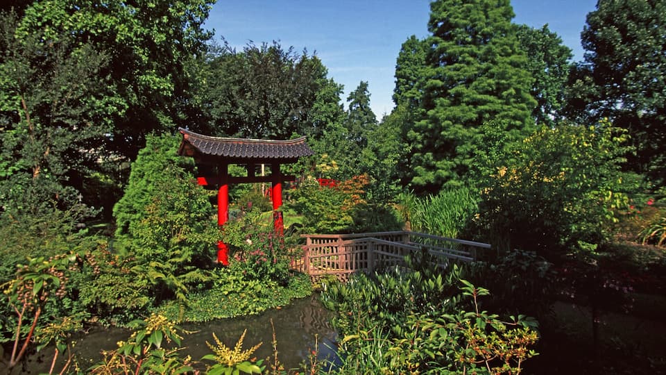 Leverkusen showing a garden and a bridge