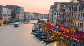 Canal Grande mostrando porto turistico, giro in barca e città