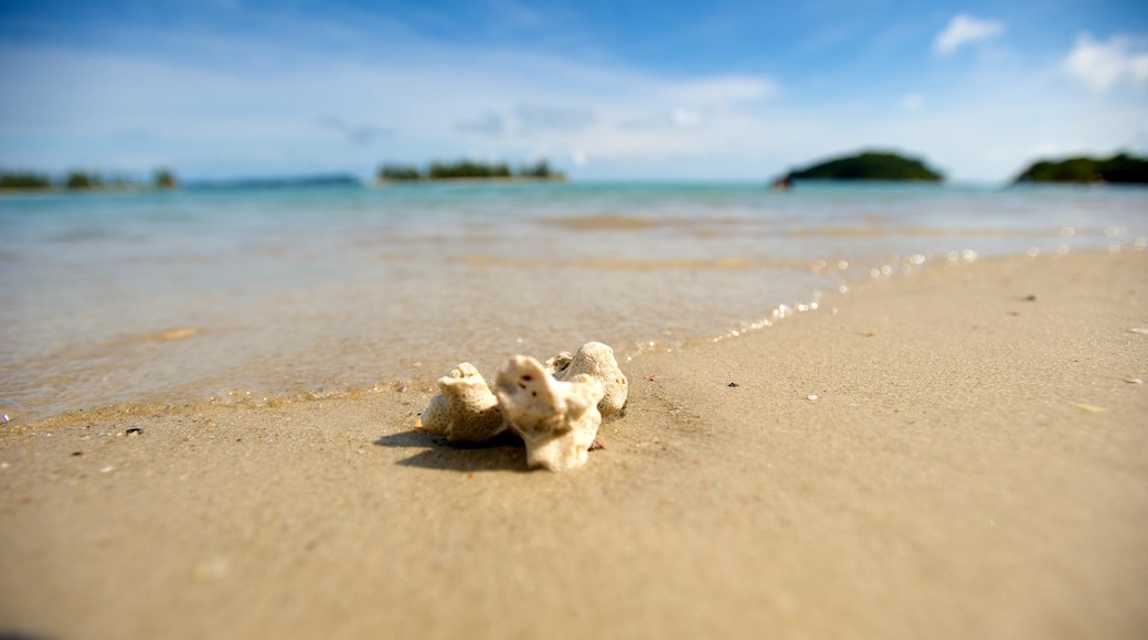 Datai Bay welches beinhaltet Strand und Landschaften