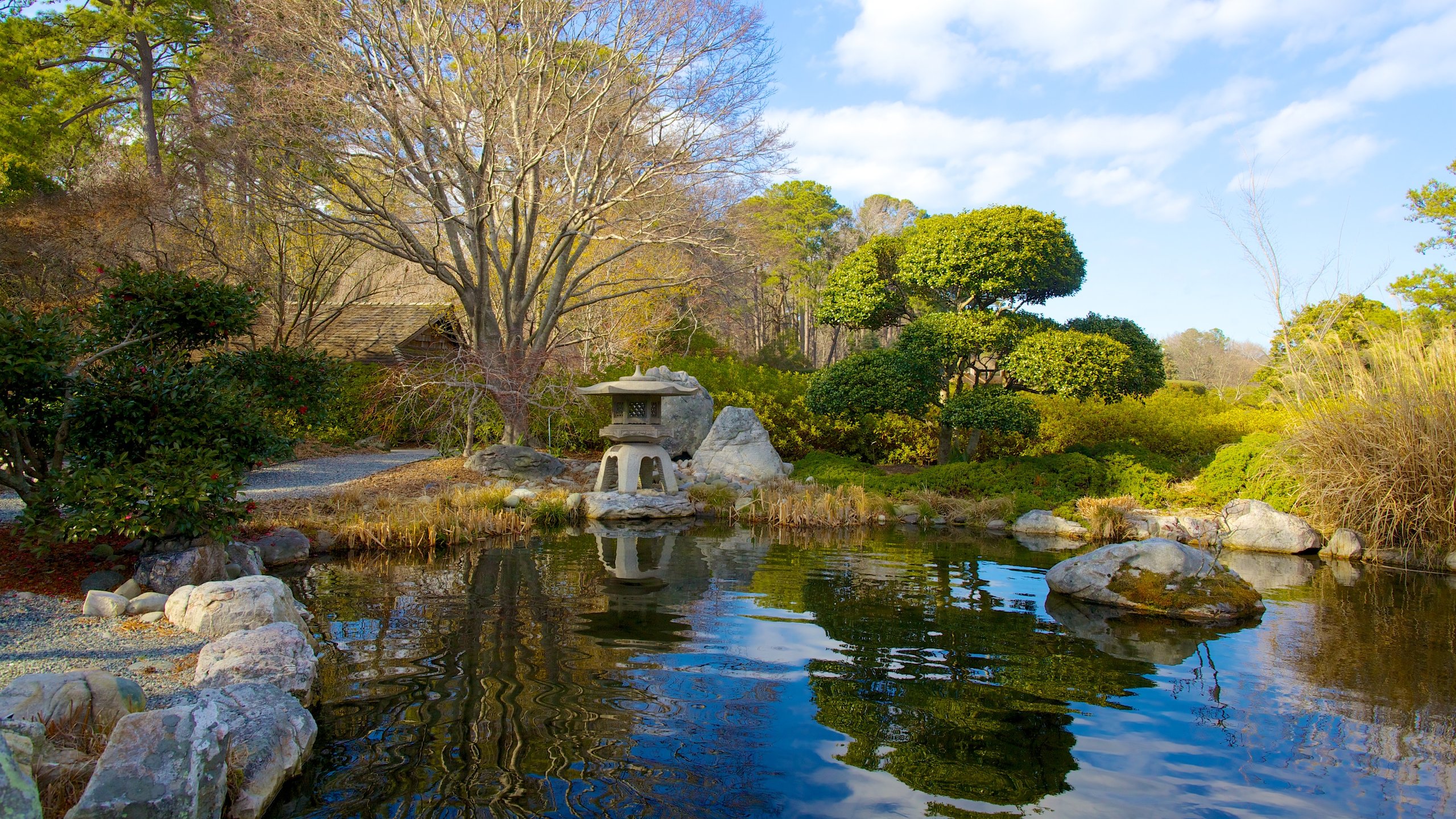 Norfolk Botanical Garden showing a park, a pond and landscape views