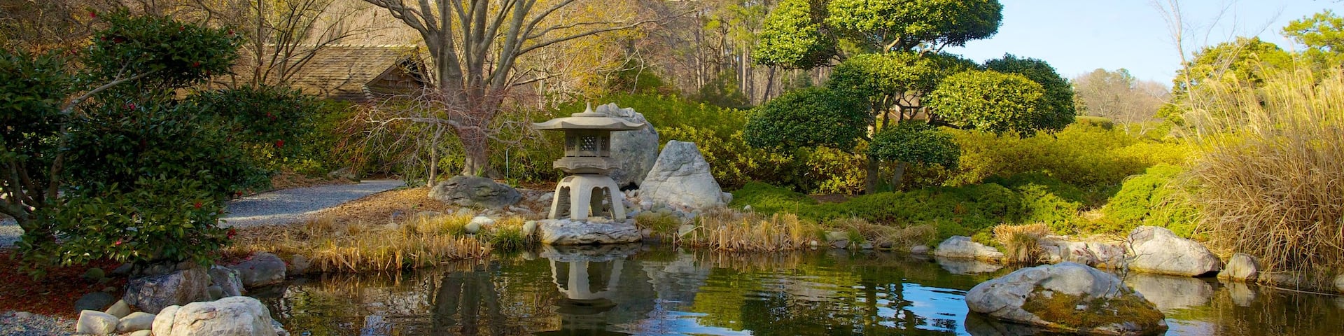 Norfolk Botanical Garden mostrando un jardín, vistas de paisajes y un estanque